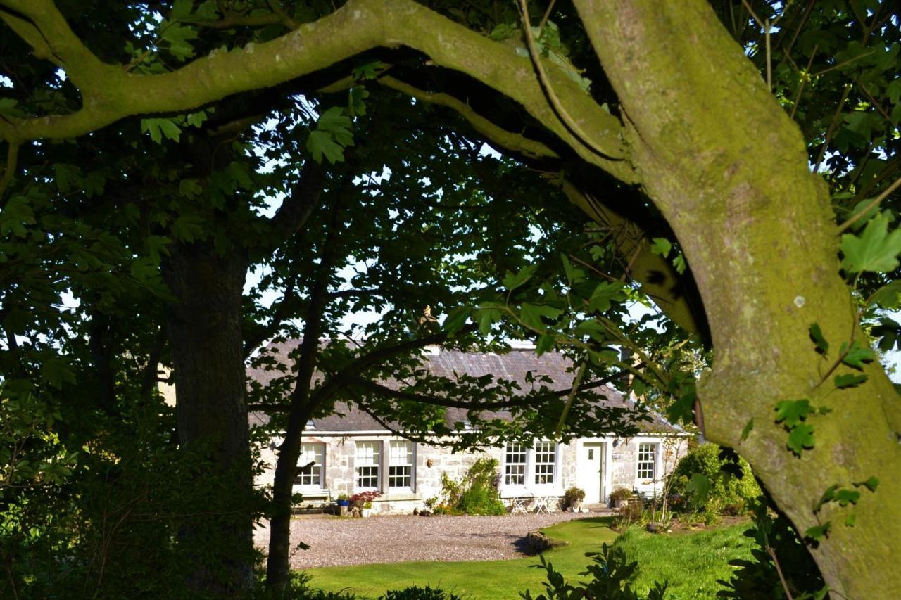 Balmungo Cottage B&B St Andrews Exterior foto